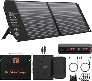 Mesuvida 100W